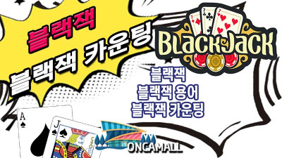 블랙잭 [ BLACK JACK21 ] 설명 및 블랙잭 카운팅